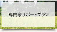 専門家サポートプラン